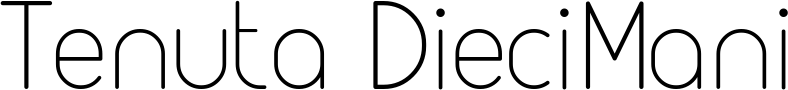 Tenuta DieciMani wordmark